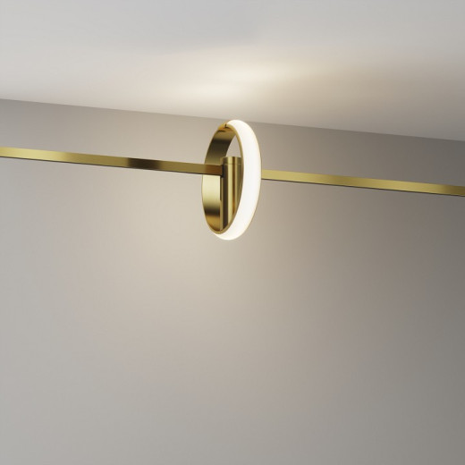 Светильник на штанге Maytoni Technical  TR230-1-10W3K-BS