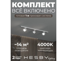 Комплект трековый Hesby Lighting Skylite №13 HSBL_kompl_S013_NI1W4K
