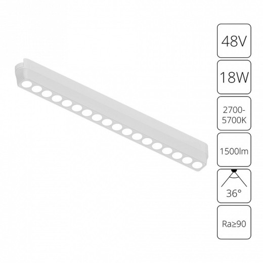 Накладной светильник Arte Lamp Rapid A2969PL-1WH