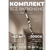 Комплект трековый Hesby Lighting Skylite №14 HSBL_kompl_S014_NI4B3K