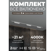 Комплект трековый Hesby Lighting Skylite №1 HSBL_kompl_S001_NI3W4K_01