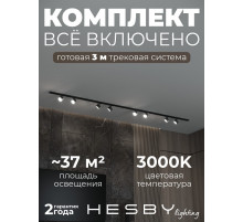 Комплект трековый Hesby Lighting Skylite №13 HSBL_kompl_S013_NI3B3K