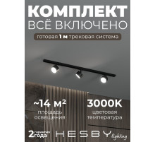 Комплект трековый Hesby Lighting Skylite №13 HSBL_kompl_S013_NI1B3K