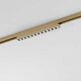 Накладной светильник Elektrostandard  85528/01