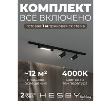 Комплект трековый Hesby Lighting Skylite №5 HSBL_kompl_S005_NI1B4K