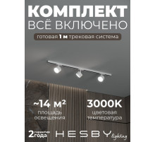 Комплект трековый Hesby Lighting Skylite №13 HSBL_kompl_S013_NI1W3K