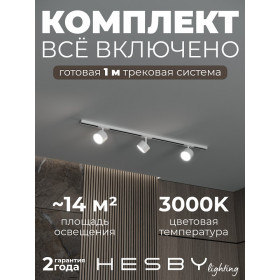 Комплект трековый Hesby Lighting Skylite №13 HSBL_kompl_S013_NI1W3K