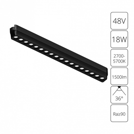 Накладной светильник Arte Lamp Rapid A2969PL-1BK