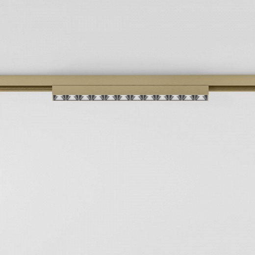 Накладной светильник Elektrostandard  85528/01