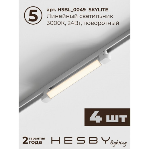 Комплект трековый Hesby Lighting Skylite №1 HSBL_kompl_S001_VI4W3K