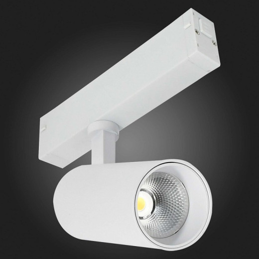 Светильник на штанге ST-Luce SKYLINE 220 ST660.596.10H