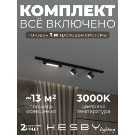 Комплект трековый Hesby Lighting Skylite №14 HSBL_kompl_S014_NI1B3K