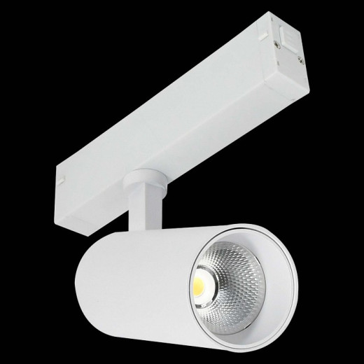 Светильник на штанге ST-Luce SKYLINE 220 ST660.596.10H