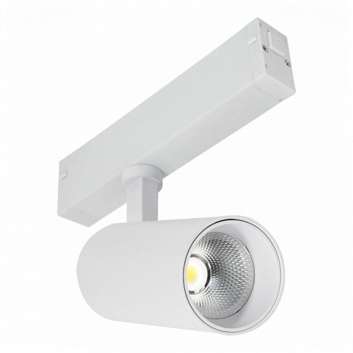 Светильник на штанге ST-Luce SKYLINE 220 ST660.536.10H