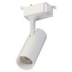 Светильник на штанге Lucia Tucci  LTP-T020-30W-W