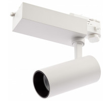 Светильник на штанге Эра  SТR-30-36-40K-W20