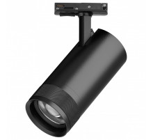 Светильник на штанге Lightstar Canno Pro C4307SS