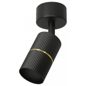 Накладной светильник Wolta NIMB WSL-GU10/18BG-2