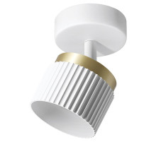 Накладной светильник Wolta MUSE WSL-GX53/19WG-2