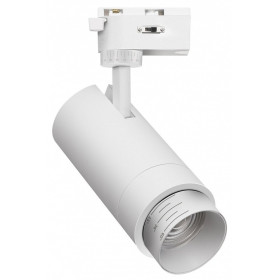 Светильник на штанге Favourite Practica 4868-1U