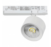 Светильник на штанге Lightstar Alta Pro A5546TRIAC