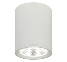 Накладной светильник Escada 20003 20003SMU/02LED SWH