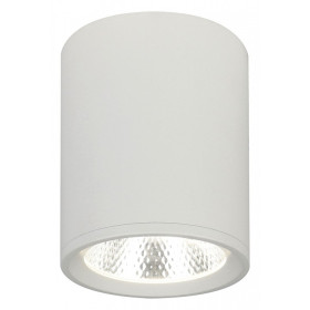 Накладной светильник Escada 20003 20003SMU/02LED SWH