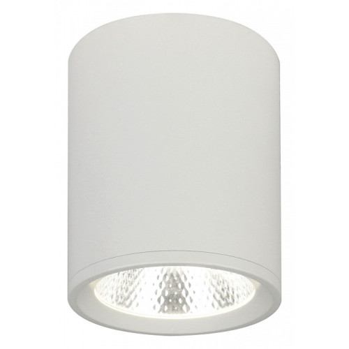 Накладной светильник Escada 20003 20003SMU/02LED SWH