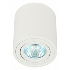 Накладной светильник Эра OL21 WH Б0054392