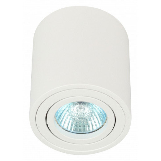 Накладной светильник Эра OL21 WH Б0054392