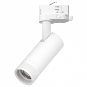 Светильник на штанге Lightstar Canno Pro C4126QT