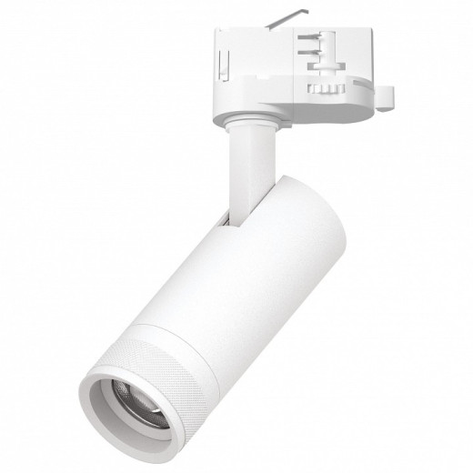 Светильник на штанге Lightstar Canno Pro C4126QT