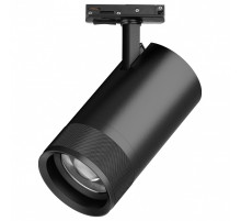 Светильник на штанге Lightstar Canno Pro C4407SS