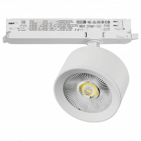 Светильник на штанге Lightstar Alta Pro A5546DALI