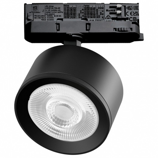 Светильник на штанге Lightstar Alta Pro A5547QT60G