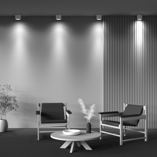 Накладной светильник Alfa C064CL-01-25W3K-D-RD-WB