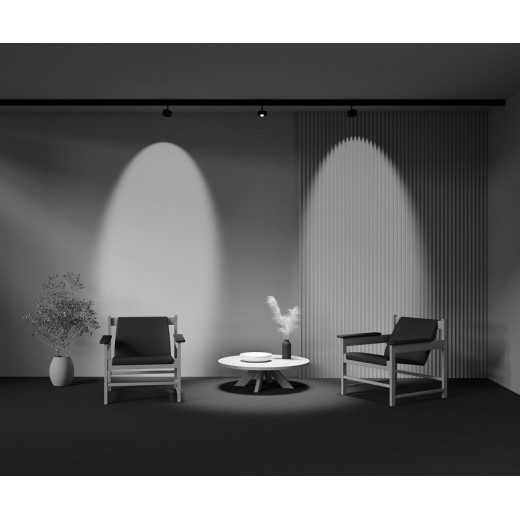 Светильник на штанге Maytoni Lens TR217-4-15WTW-DS-B