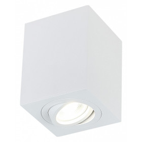 Накладной светильник SIMPLE STORY 2038 2038-1CLW