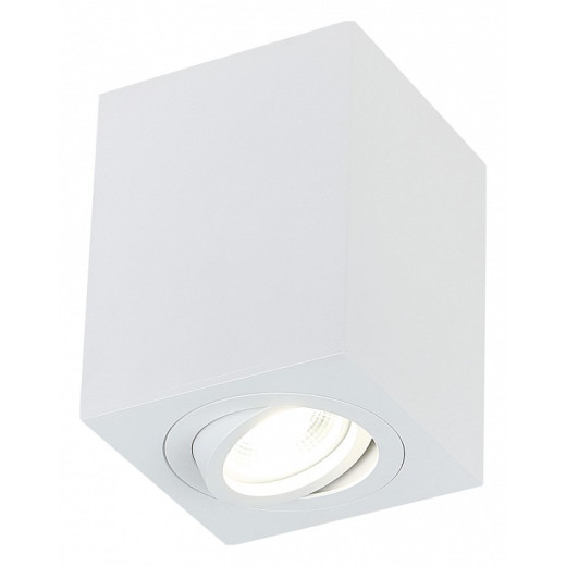 Накладной светильник SIMPLE STORY 2038 2038-1CLW