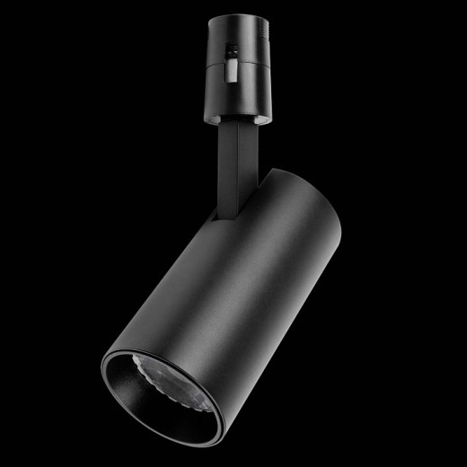 Светильник на штанге Lightstar Due Hermes 210247