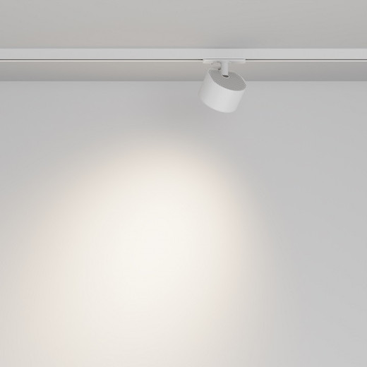 Светильник на штанге Maytoni  TR225-1-GX53-W