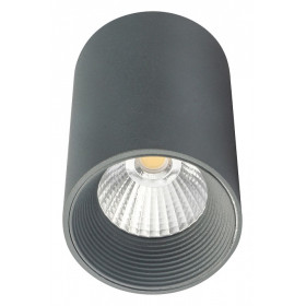 Накладной светильник Escada 20003 20003SMU/01LED SGY