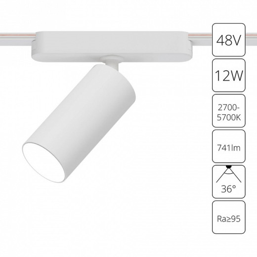 Светильник на штанге Arte Lamp Rapid A2958PL-1WH