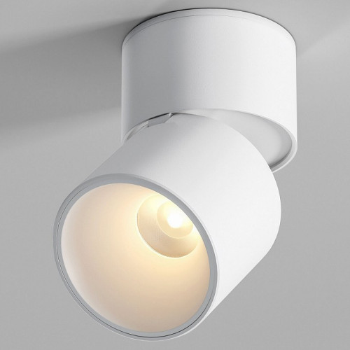 Накладной светильник Elektrostandard Rolly a067486