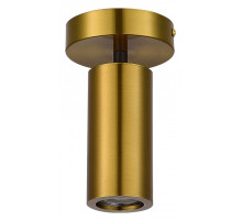 Светильник на штанге ST-Luce Talia SL1215.402.01