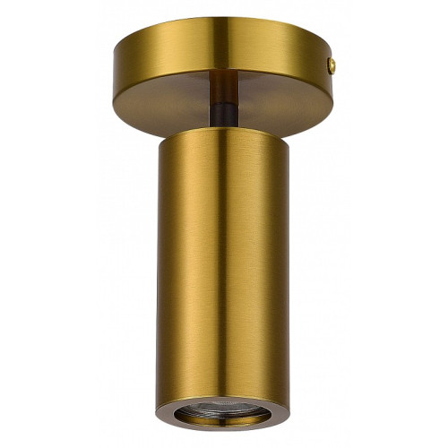 Светильник на штанге ST-Luce Talia SL1215.402.01