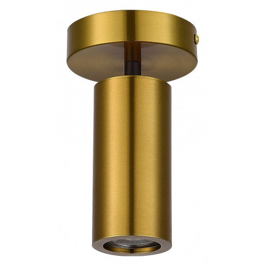 Светильник на штанге ST-Luce Talia SL1215.402.01