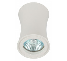 Накладной светильник Эра OL19 WH Б0054388