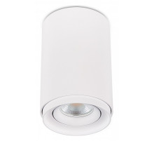 Накладной светильник SIMPLE STORY 2065 2065-1CLW