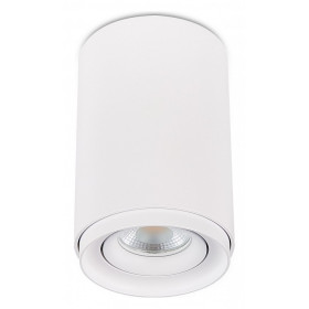 Накладной светильник SIMPLE STORY 2065 2065-1CLW